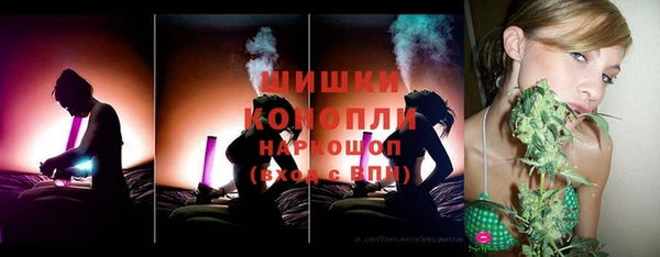 МДПВ Инсар