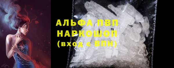 МДПВ Инсар
