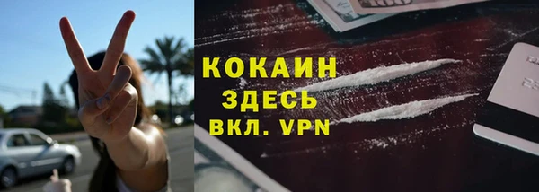 МДПВ Инсар